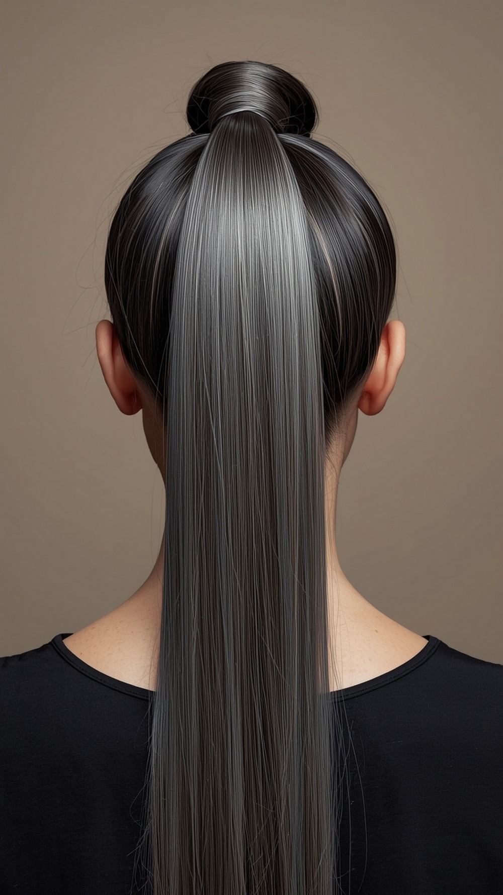 Glass Shine Classic High Pony